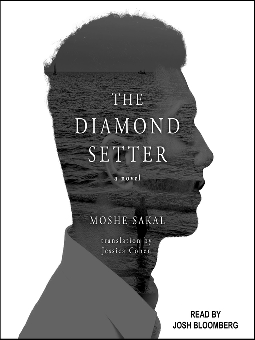Cover of The Diamond Setter